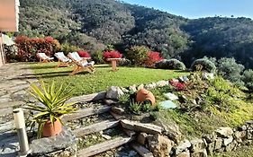 Agriturismo Orto Dei Rolli